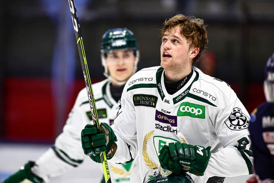 Färjestads Adam Ginning