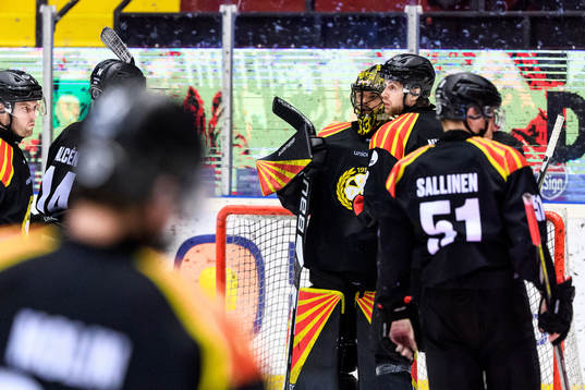Brynäs målvakt Samuel Ersson jublar med lagkamrater