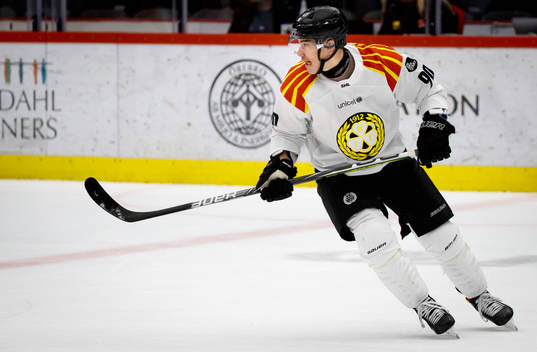 Brynäs Shane Harper