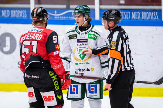 Malmö Redhawks Emil Sylvegård i diskussion med