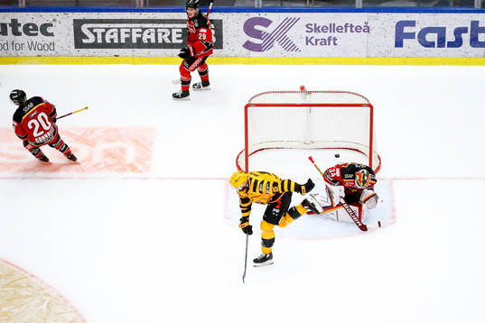 Skellefteås Melker Karlsson jublar