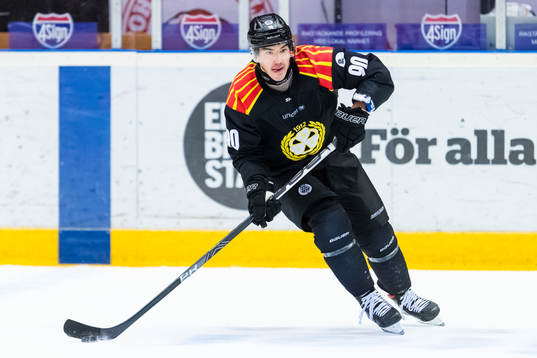 Brynäs Shane Harper