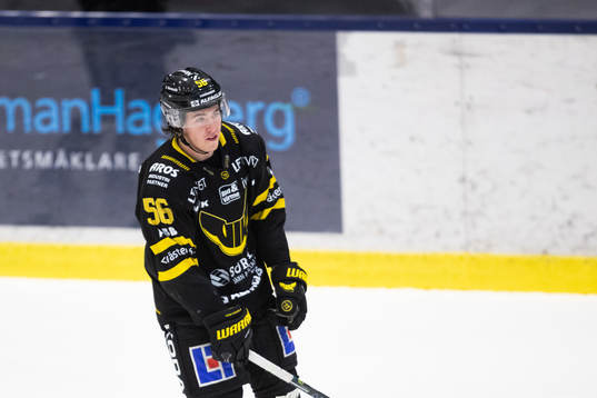 Västerås Alexander Lunsjö