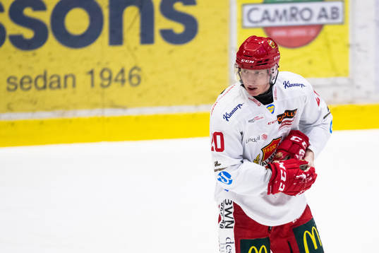 Almtunas Sebastian Höglund