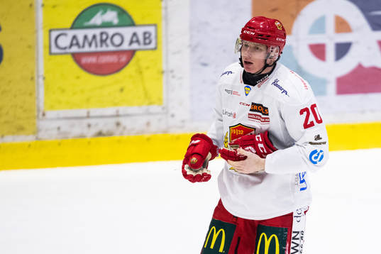 Almtunas Sebastian Höglund