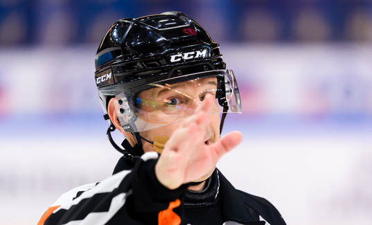 Domare Wolmer Edqvist