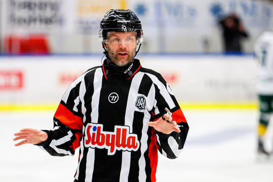 Domare David Bergman