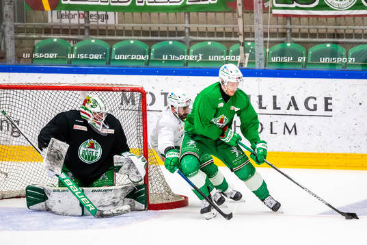 Johan Gustafsson, Joseph LaLeggia och Anton Bengtsson