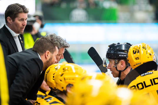 Domare Linus Öhlund i samtal med Skellefteås tränare