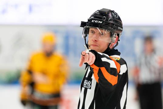 Domare Mikael Holm