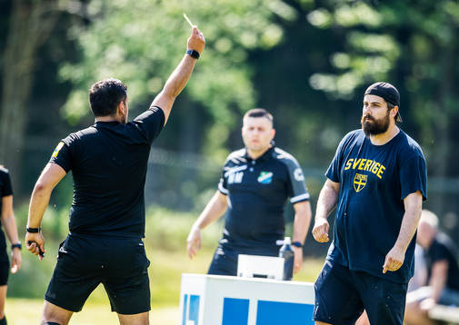 Domare Delavar Vahdanjo varnar Åryds tränare Ivan Spahic