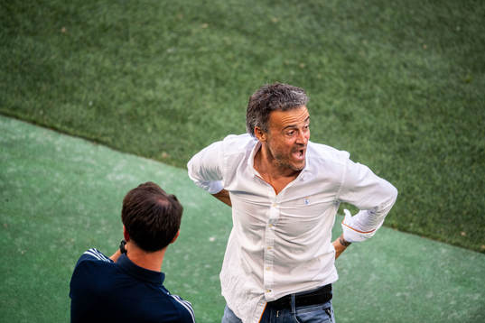 Luis Enrique, head coach of Spain celebrates 1-3