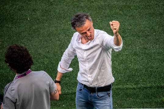Luis Enrique, head coach of Spain celebrates