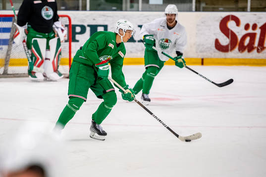 Rögles William Strömgren