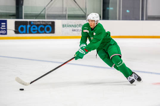 Rögles William Strömgren