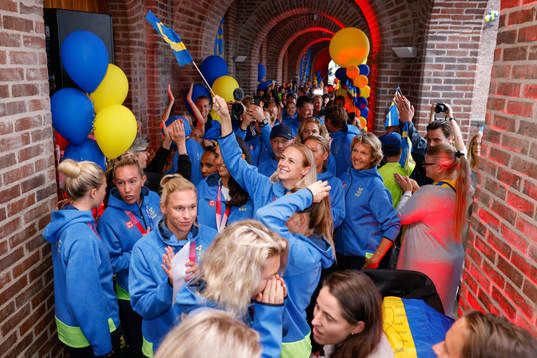 Players of Sweden at a press meet