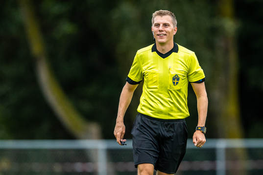 Domare Rikard Aspegren