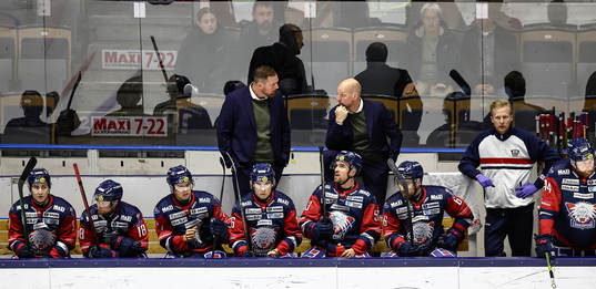 Linköpings bås med assisterande tränare Gereon Dahlgren