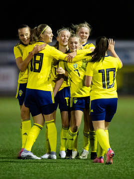Sveriges spelare jublar tillsammans