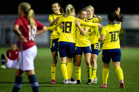 Sveriges spelare jublar tillsammans