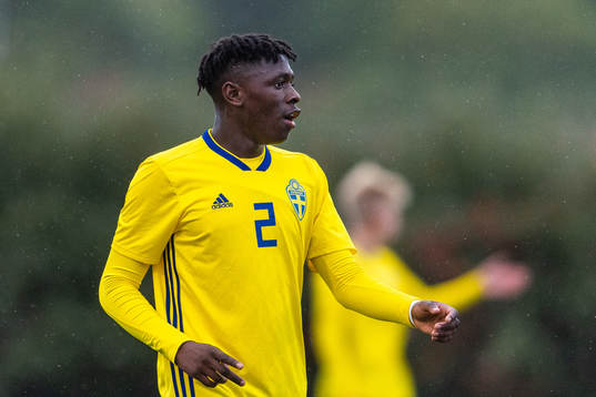 Sveriges William Rashidi