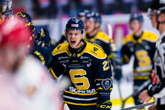 Södertäljes Albert Sjöberg jublar med lagkamrater