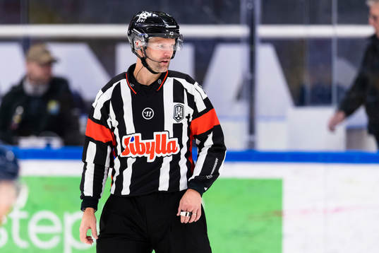 Domare David Bergman