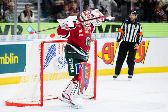 Frölundas målvakt Niklas Rubin jublar