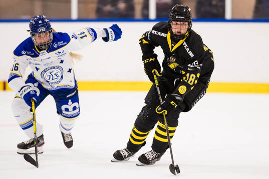 s Isabelle Lejionhielm