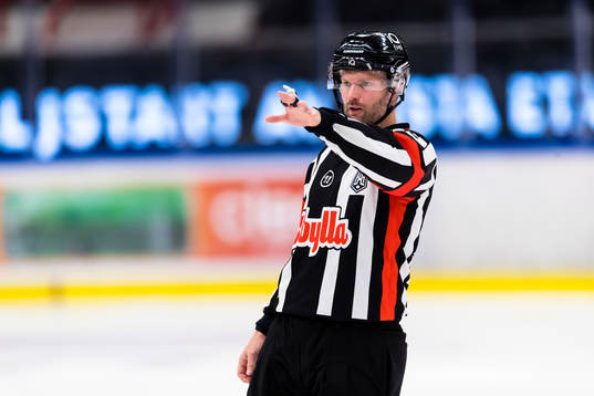 Domare David Bergman