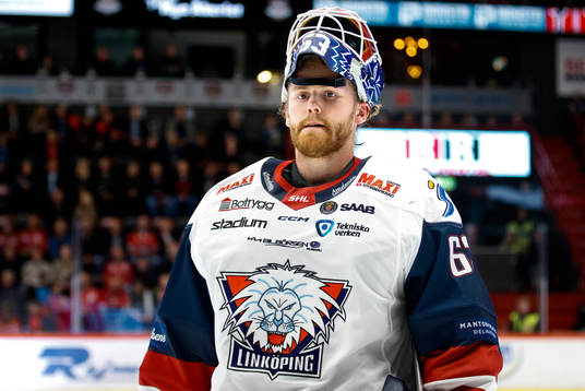Linköpings målvakt Marcus Högberg deppar