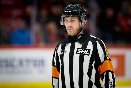 Domare Daniel Eriksson