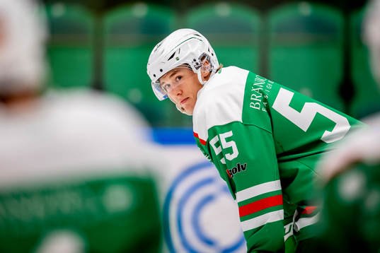 Rögles William Strömgren