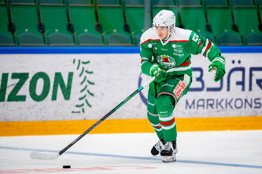 Rögles William Strömgren