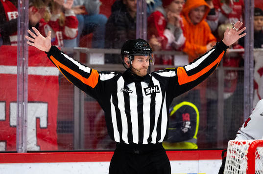 Domare Daniel Eriksson