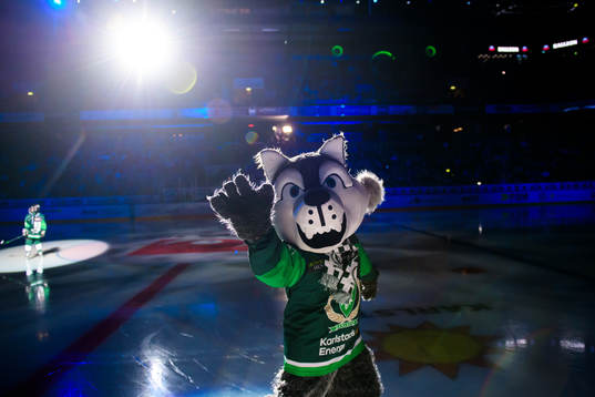 Färjestads maskot Ture Varg