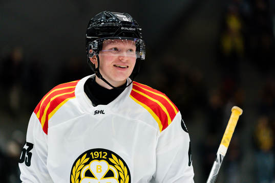 Brynäs Julius Bergman