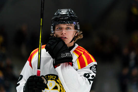 Brynäs Tom Hedberg