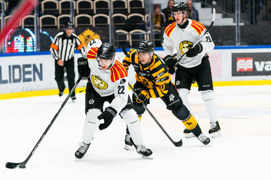 Brynäs Adam Pettersson och Skellefteås Joakim Lindström