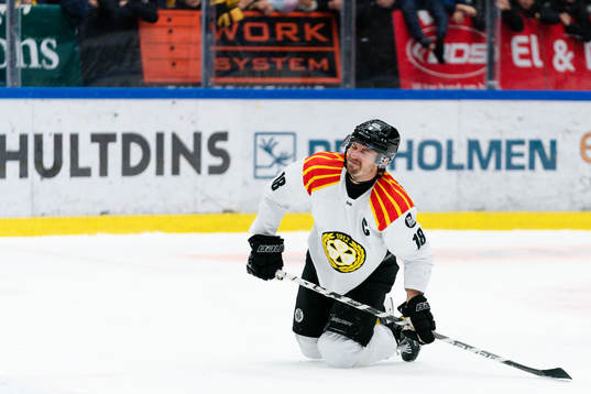 Brynäs Anton Rödin