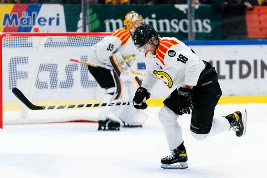 Brynäs Anton Rödin