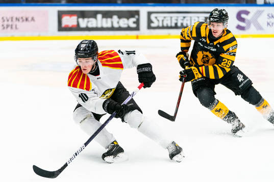 Brynäs Noel Gunler och Skellefteås Albin Sundsvik