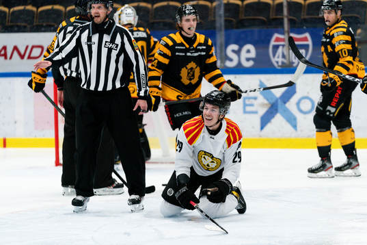 Brynäs Oscar Birgersson