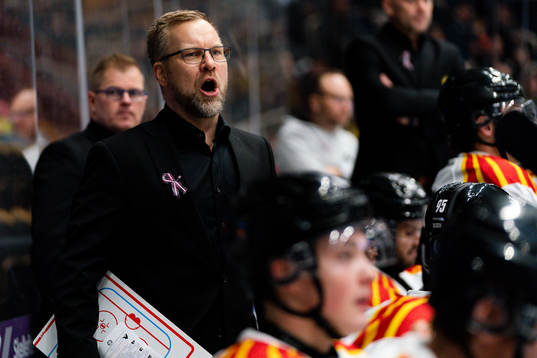 Brynäs tränare Mikko Manner