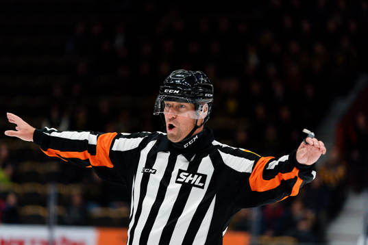 Domare Sören Persson