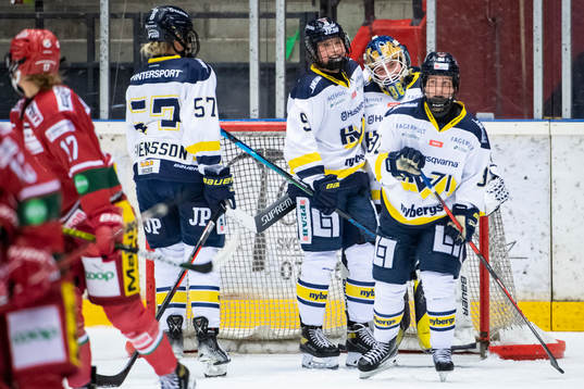 s Elin Svensson, Jenna Raunio, målvakt Lina Van Noort och