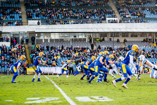 Sveriges spelare
