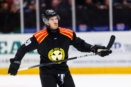 Brynäs Oula Palve