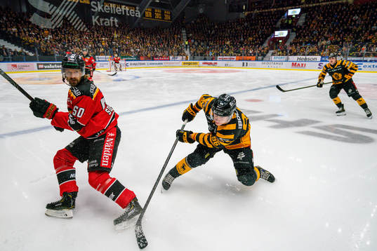 Luleås Daniel Sondell