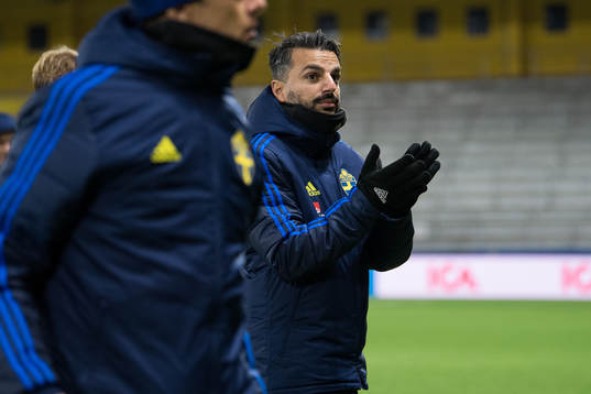 head coach Poya Asbaghi of Sweden celebrates